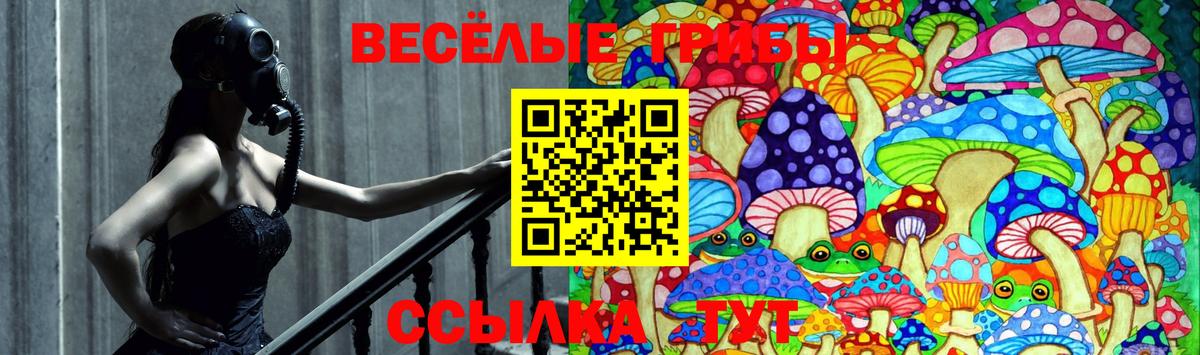 Галлюциногенные грибы мухоморы  Вход с VPN  Вологда 