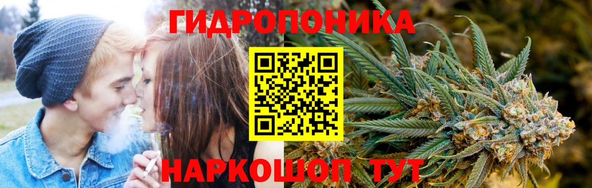 Марихуана MAZAR  Шишки марихуана Ganja  Вход с VPN  Вологда  Бошки марихуана Amnesia 